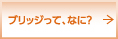 ブリッジって、なに？